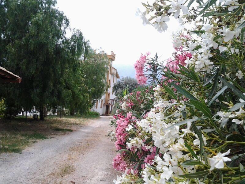 Rocca Di Monreale Bed & Breakfast Exterior photo